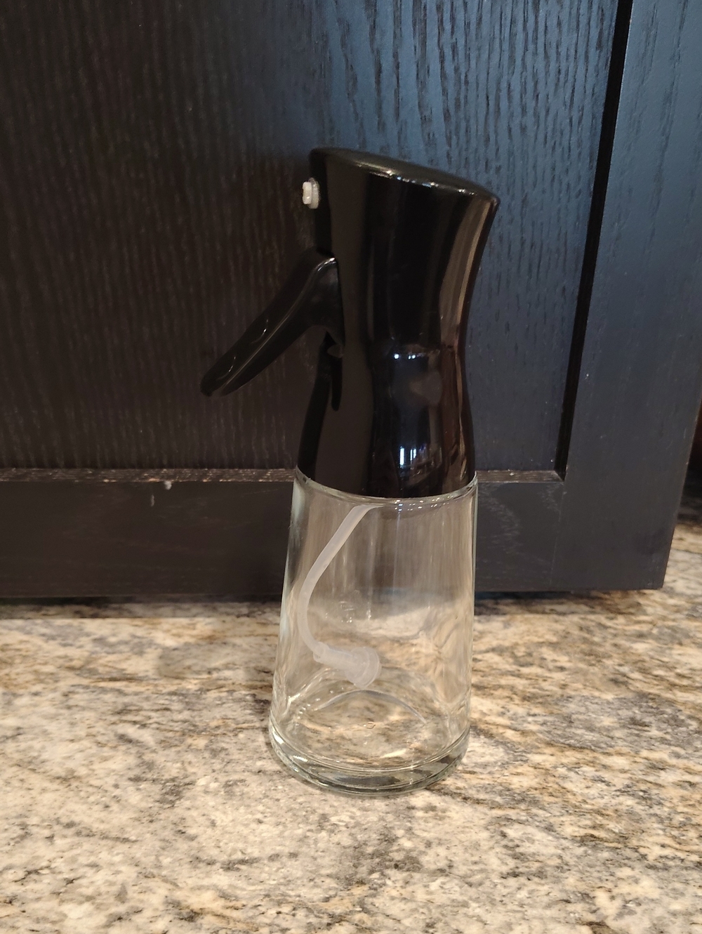 Black Glass Spray Bottle for Dining and Kitchen